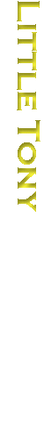 b_dezember.gif (2933 Byte)