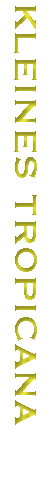 b_dezember.gif (2933 Byte)